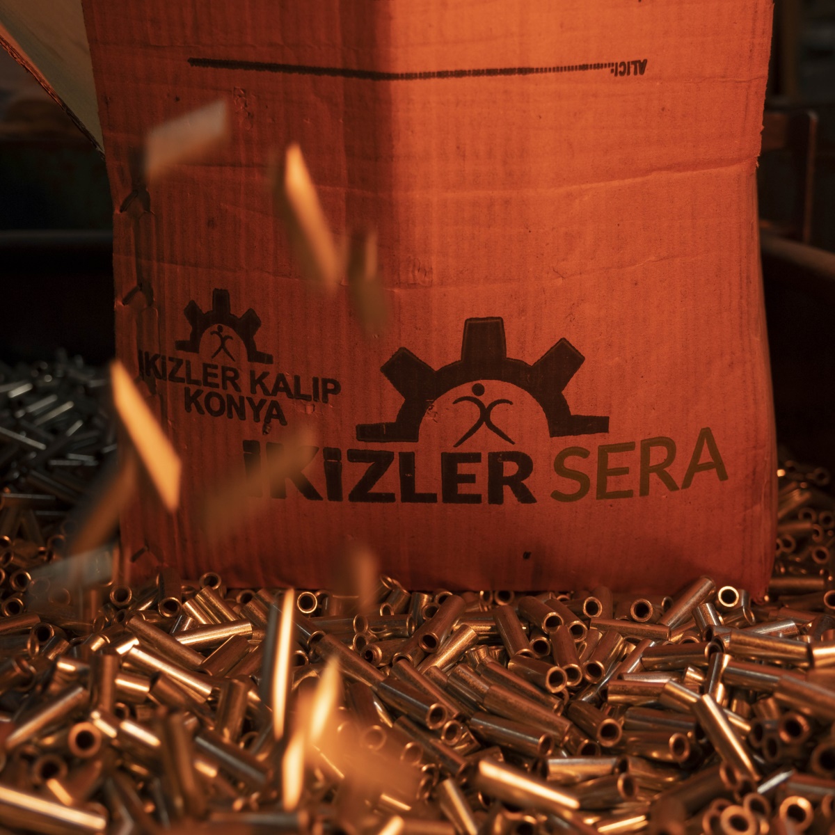 İkizler Sera  